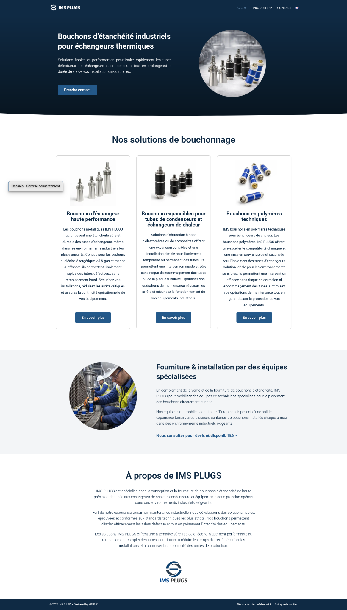 Capture du site IMS Plugs